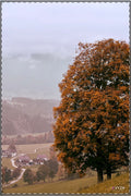 Satin Posters / VYZN Design / The Tree